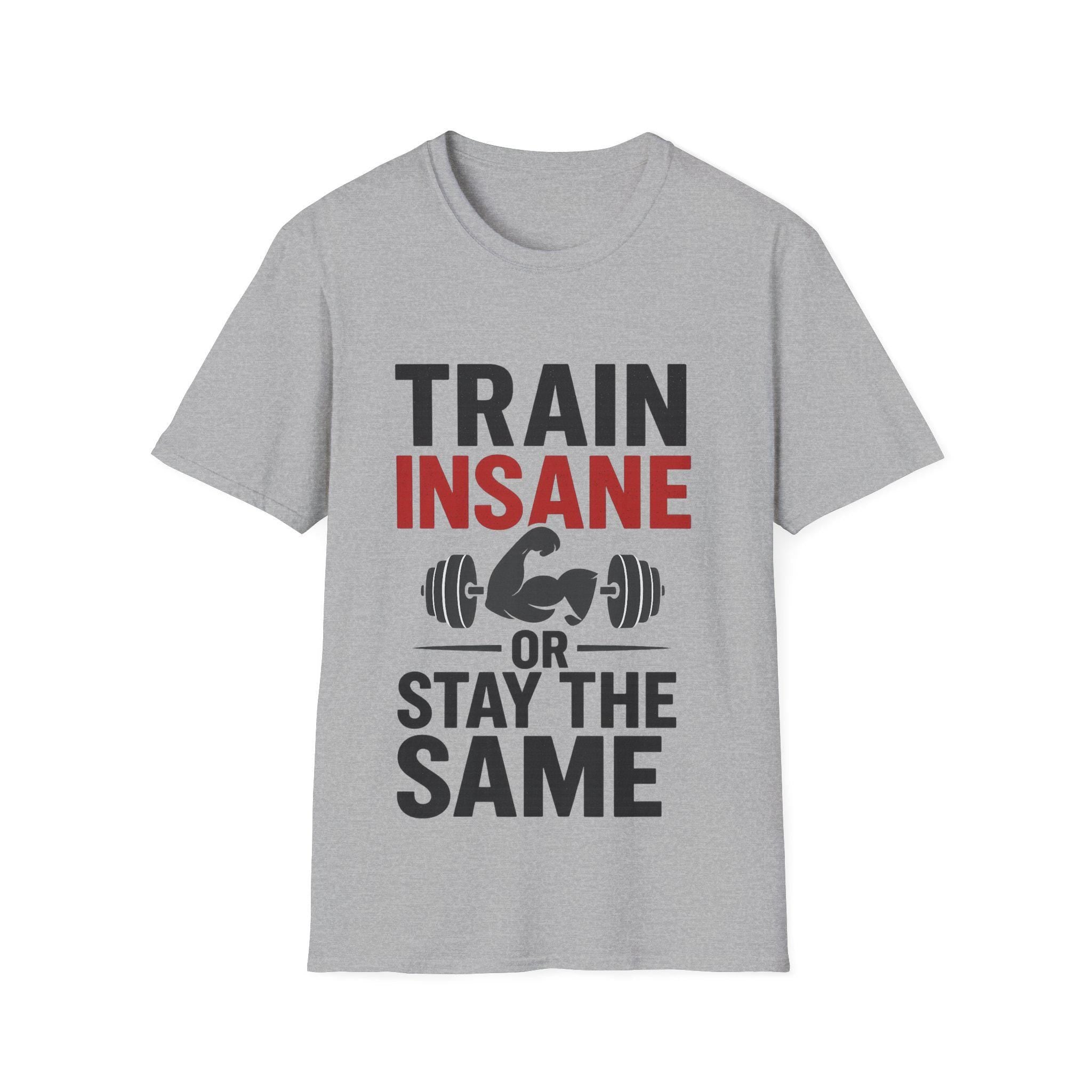 Train Insane Motivational Gym T-Shirt: Distressed Barbell Design