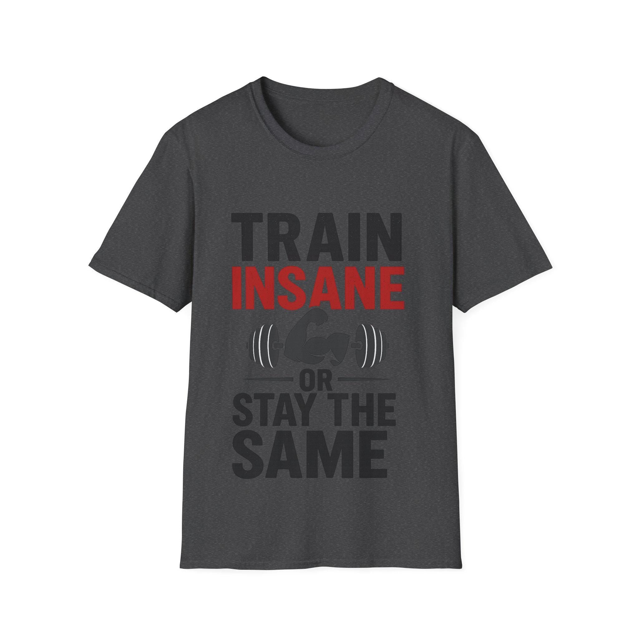 Train Insane Motivational Gym T-Shirt: Distressed Barbell Design
